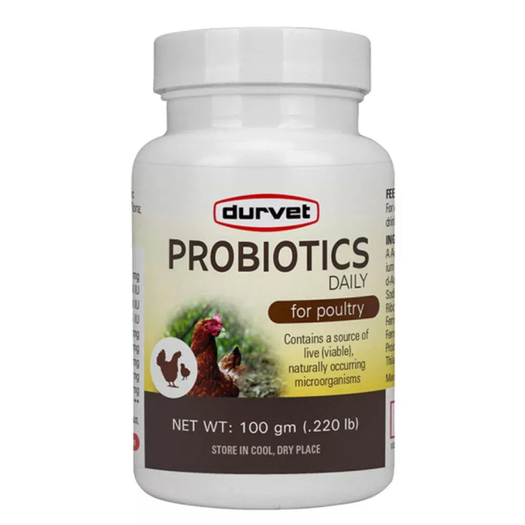 Durvet Probiotics Daily for Poultry (100 g)
