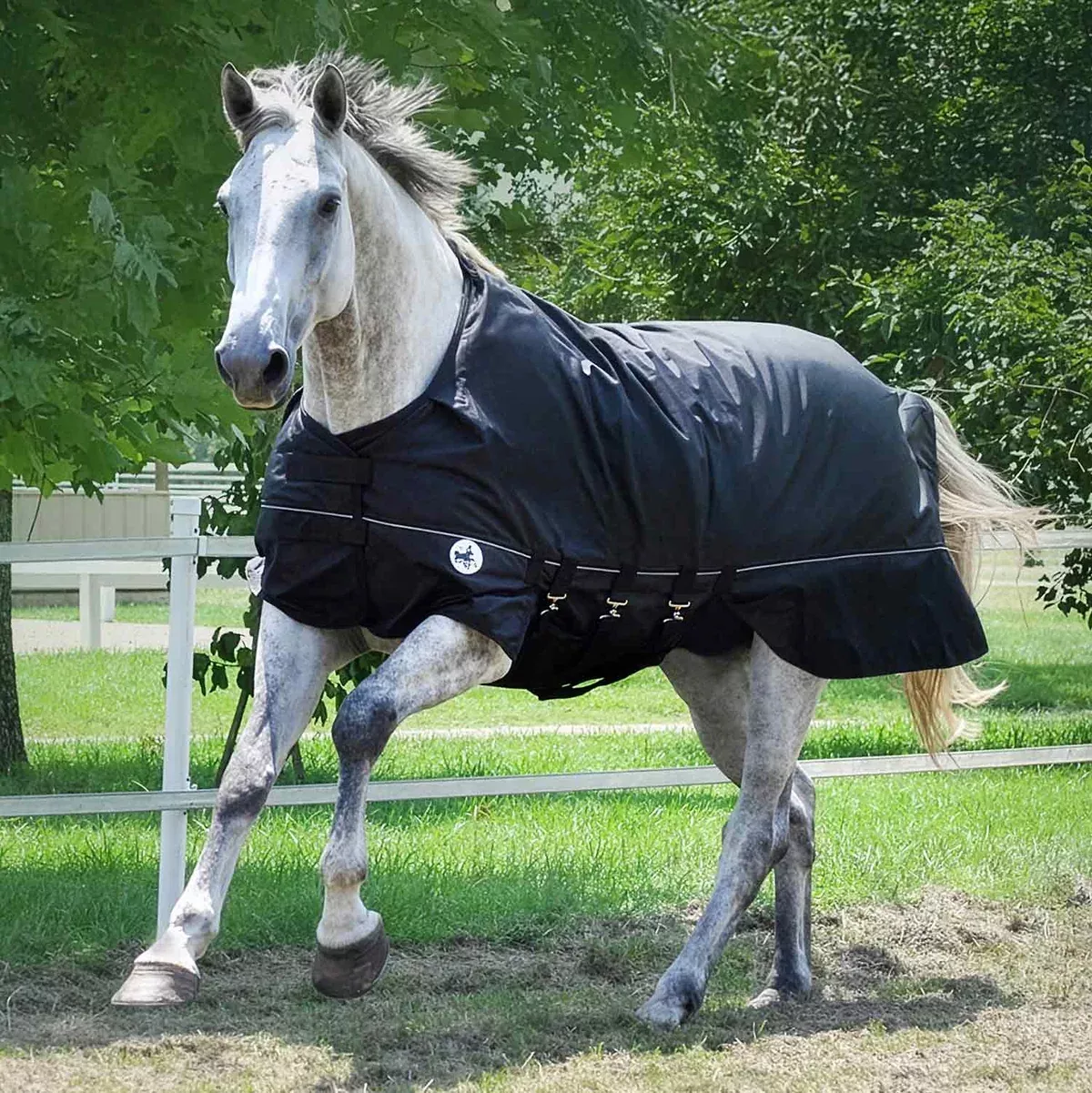 Jeffers Supreme Plus 1680 Denier Heavy Weight Horse Turnout Blanket, 360 Gram Fill, Black